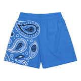 DRIPKIT PAISLEY SHORTS - CAROLINA BLUE