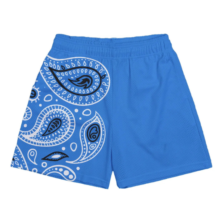 DRIPKIT PAISLEY SHORTS - CAROLINA BLUE